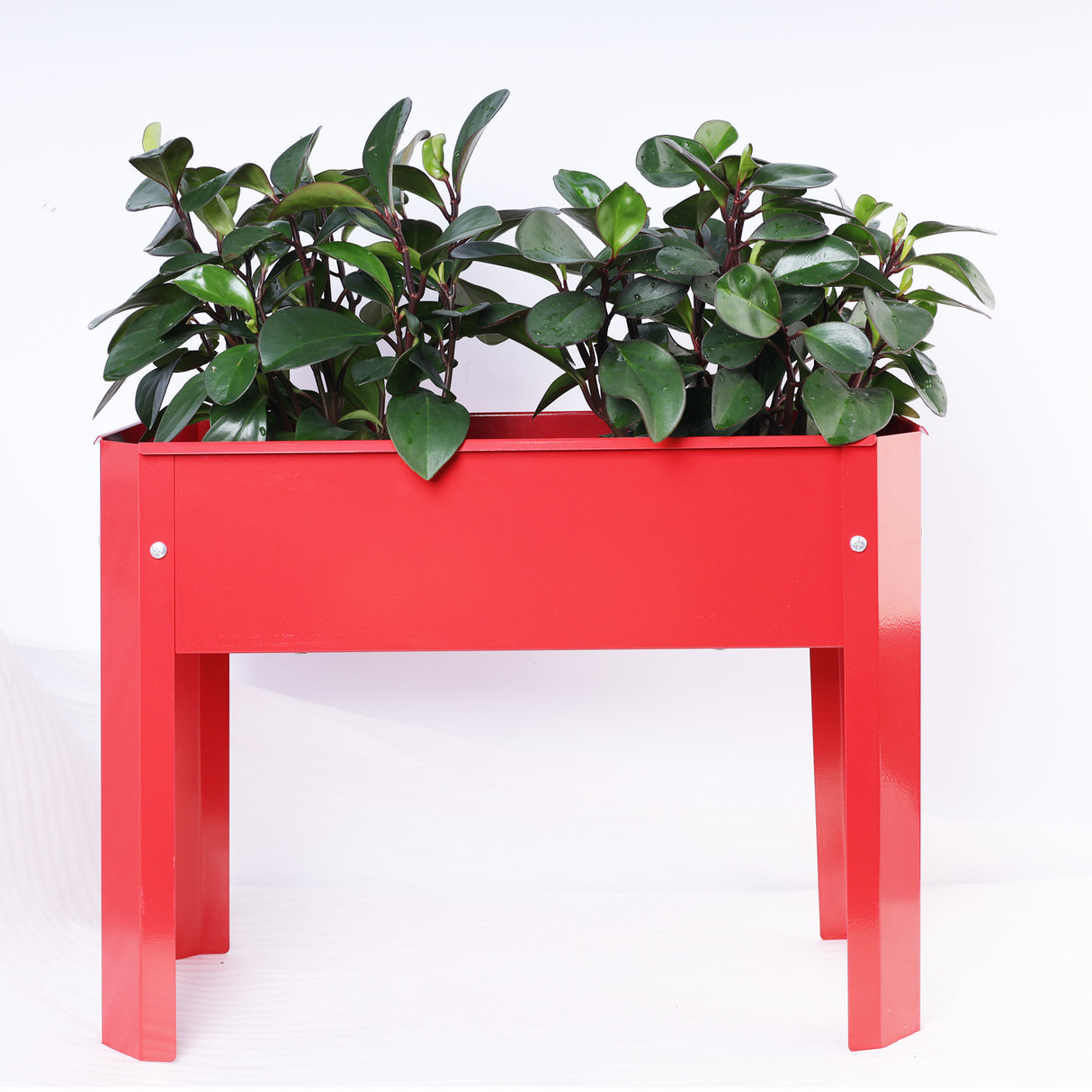 Mini Elevated garden bed, metal elevated outdoor flowerpot box, suitable for backyard and terrace, large flowerpot Red + Steel - Julia M LifeStyles