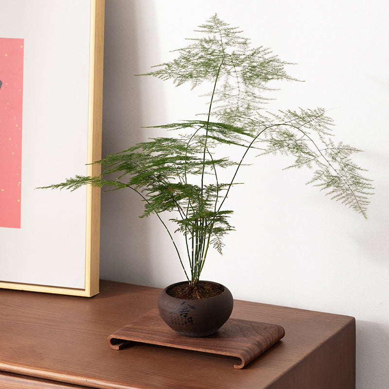 Retro - style Walnut Tea Tray, Wooden Soap - scented Candle Holder, Household Grocery Desktop Storage Box & Decorative Plate - Julia M LifeStyles