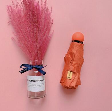 Small UV Protect Umbrella Mini Pocket 5 Folding Sun Rain Umbrella Waterproof Portable Travel Men Women Umbrella - Julia M LifeStyles