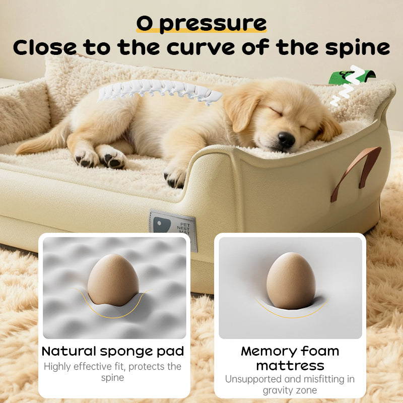 Heavy-Duty All-Weather Dog House