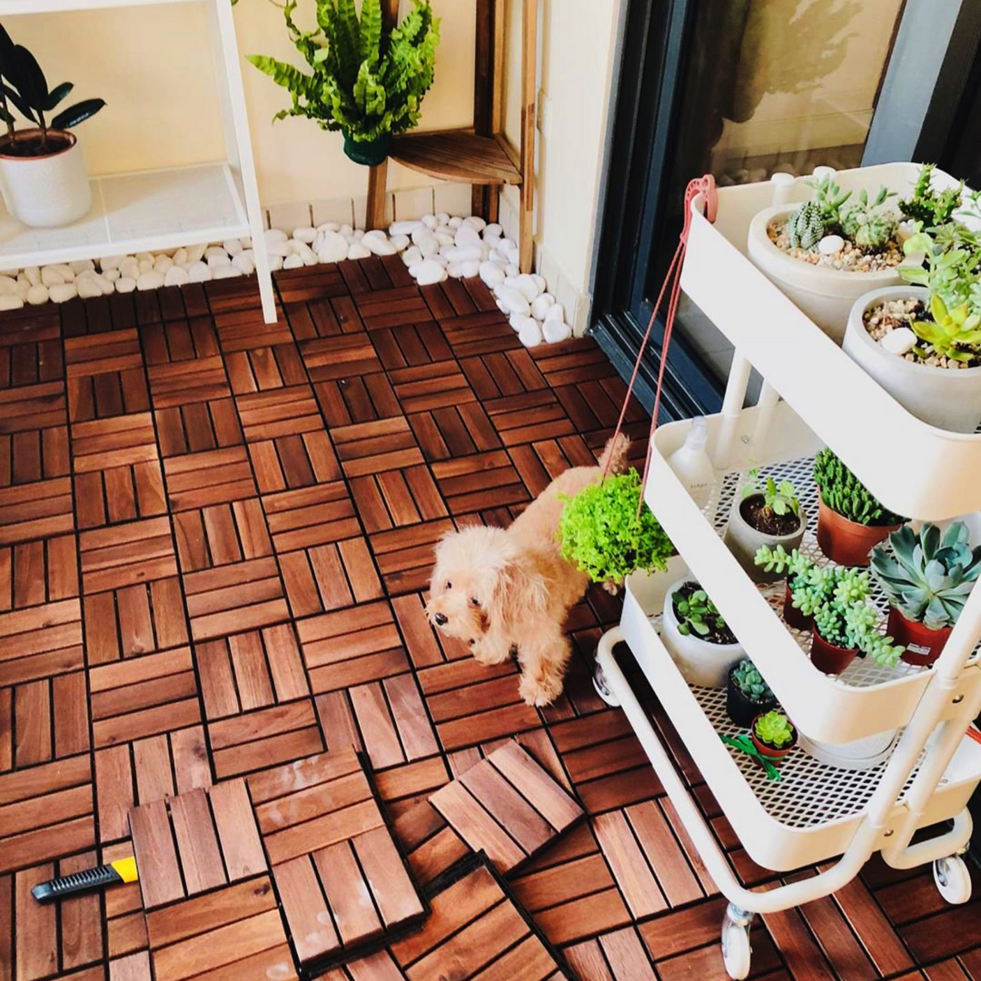 Acacia interlocking deck tile grid pattern, 10 pieces of 12 inch x 12 inch square brown Acacia hardwood outdoor flooring - Julia M LifeStyles