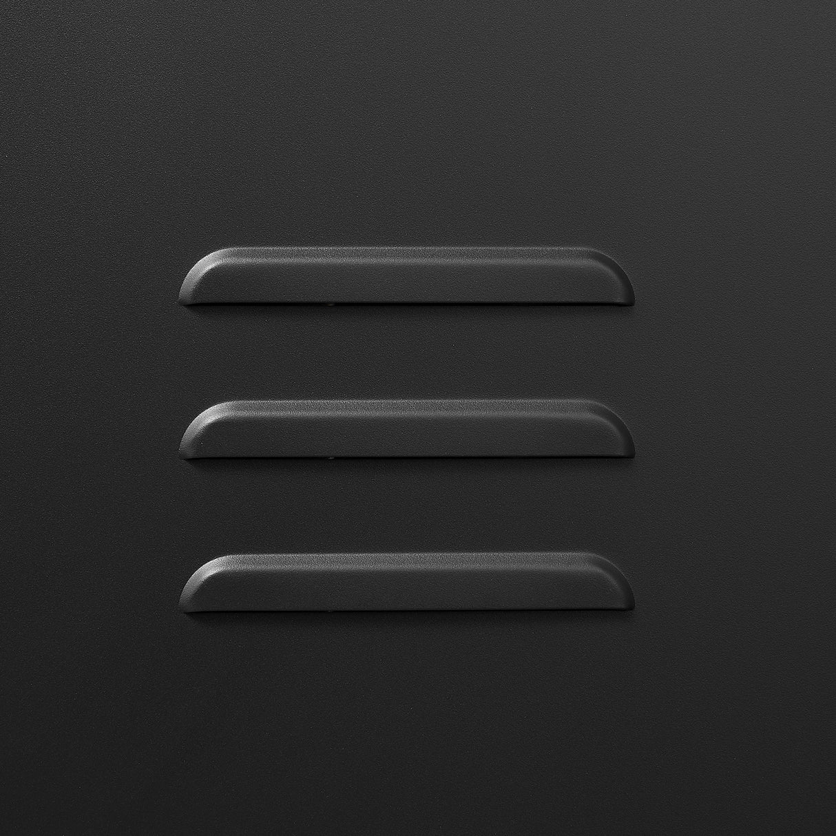 Steel storage cabinet, double door miscellaneous storage cabinet, 2 movable partitions - Julia M LifeStyles