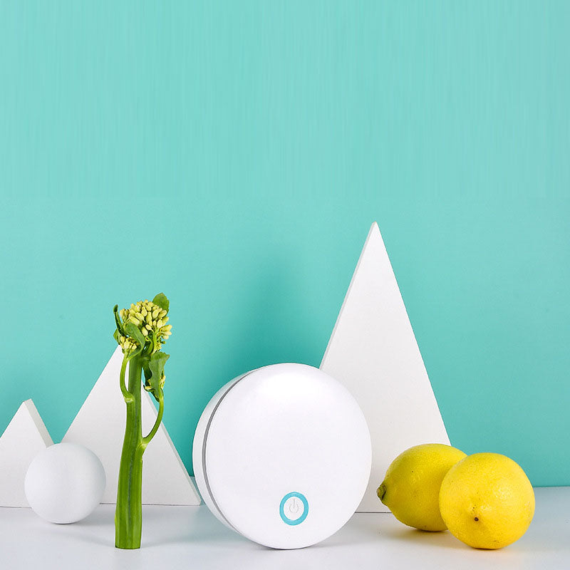 Premium Ozone Disinfection Machine for Home & Pet Use