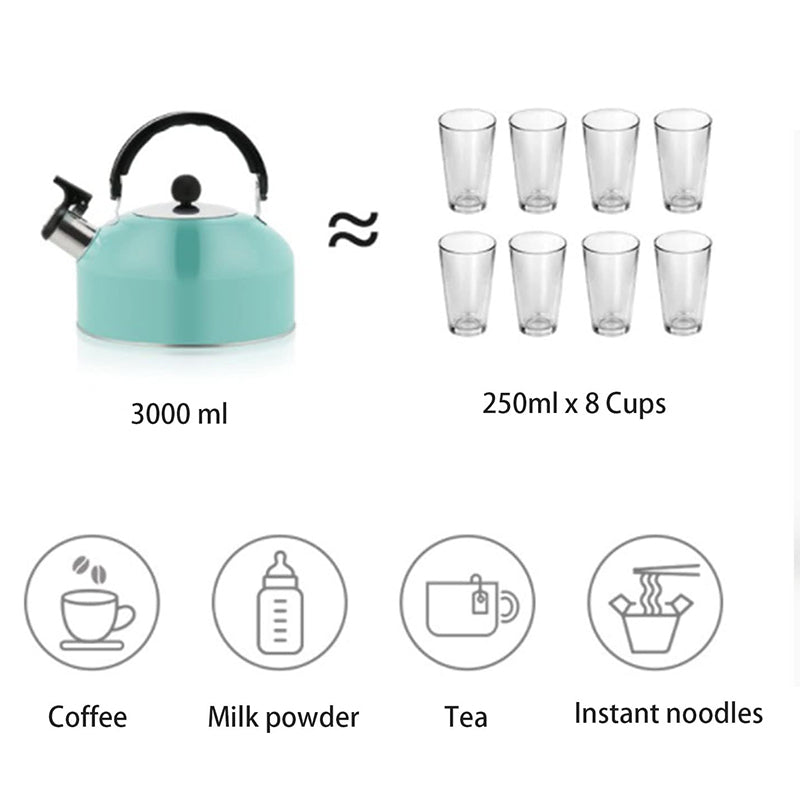 A 3L stainless - steel kettle for gas heating. It features a whistle and a comfortable handle, suitable for cooking and tea. Julia M Home & Kitchen