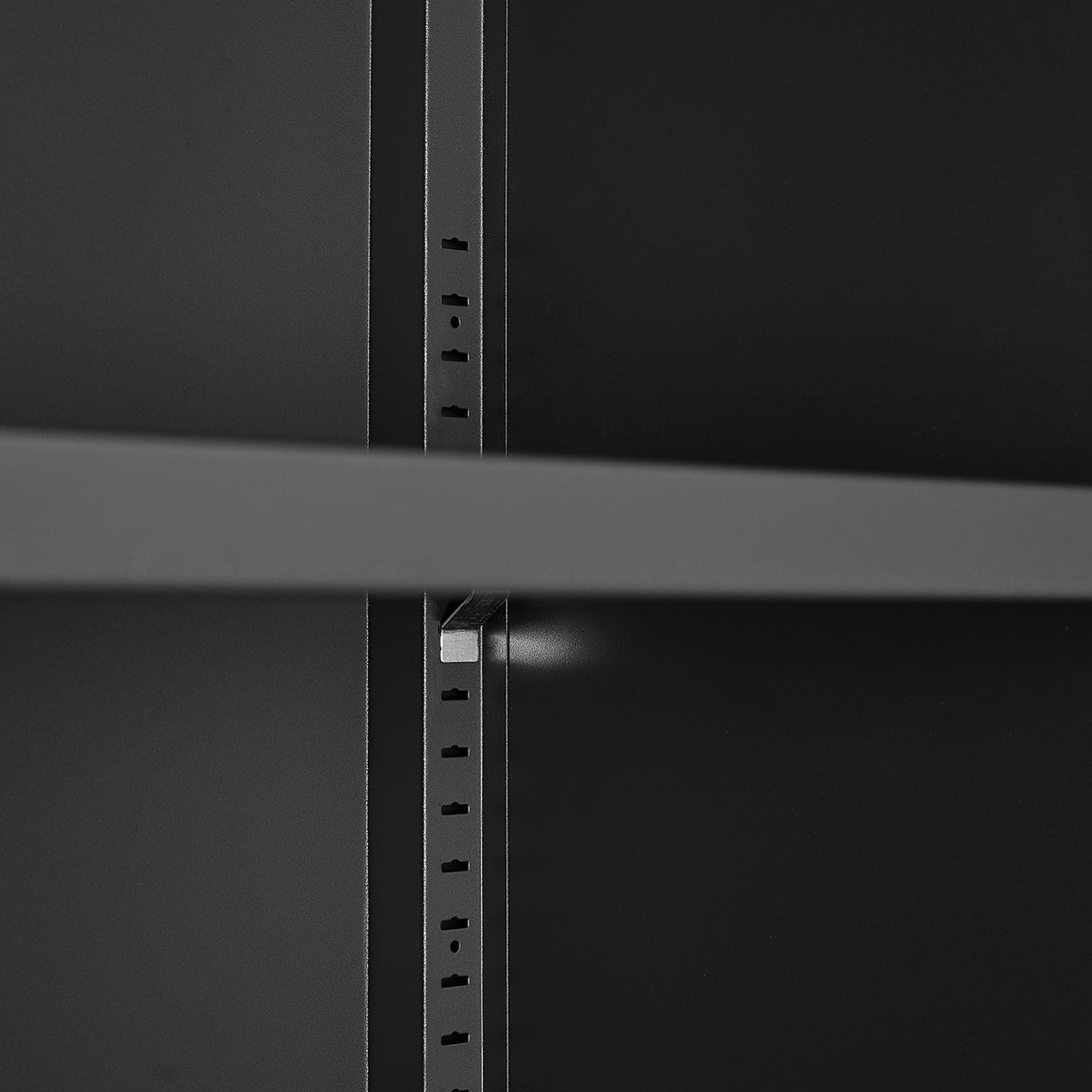 Steel storage cabinet, double door miscellaneous storage cabinet, 2 movable partitions - Julia M LifeStyles