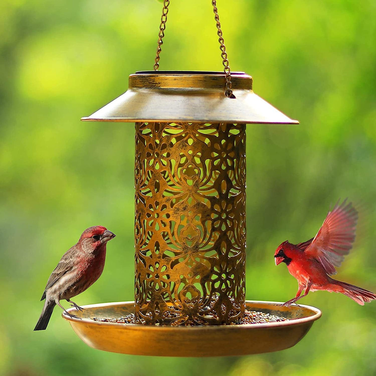 Outdoor solar powered lamp metal hanging bird feeder feeding and watering dual-purpose bird feeder decorative lamp eprolo