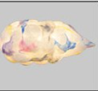 Nordic Cotton Cloud LED Pendant Lamp for Restaurant, Clothing Store, Bar Counter, Window Display, Simple and Creative White Cloud Pendant Light