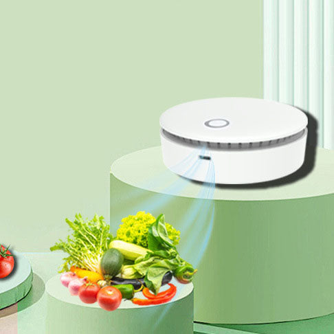 Premium Ozone Disinfection Machine for Home & Pet Use
