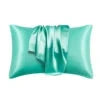 Wholesale Professional Luxury Super Soft Silky Pillow case Solid Color Silk Satin With Envelop Closure Julia M LifeStyles