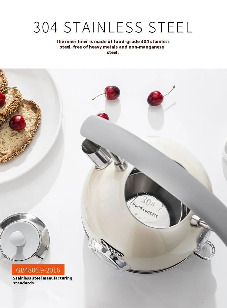 Stainless steel kettle with food-grade 304 stainless steel liner on a white background