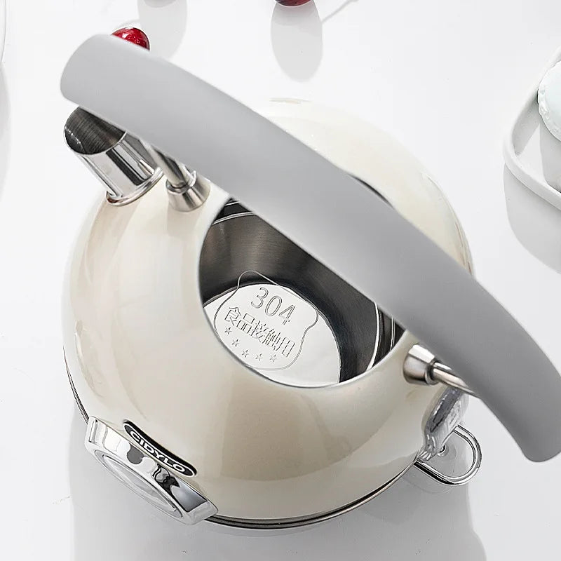 White kettle with silver handle and base on a white background