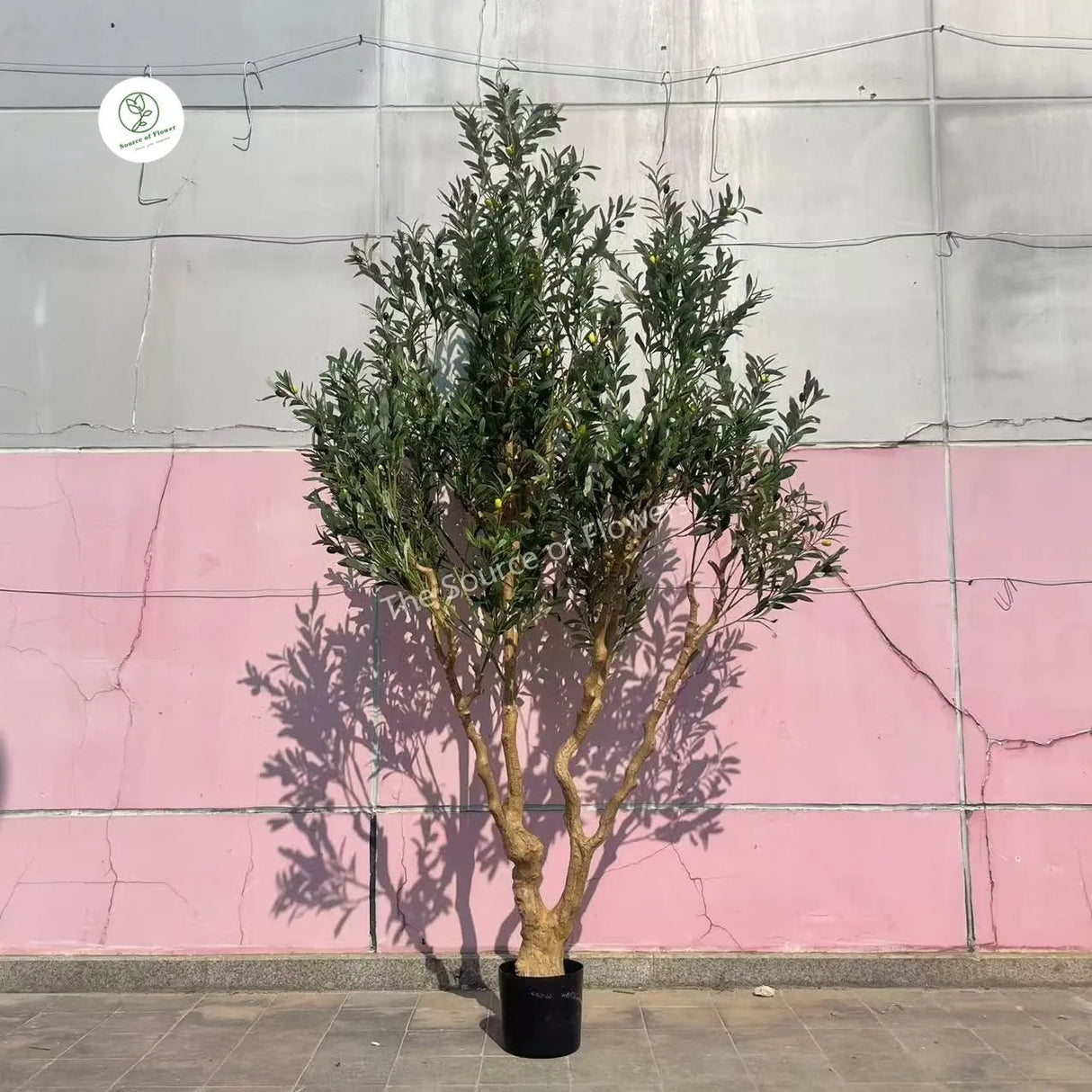 Large Artificial Plastic Olive Banana Bonsai Faux Potted Green Plan Tree with Lifelike Leaves Home Decor Window Display Julia M LifeStyles