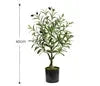 Nearly Natural Small 1meter 6 Feet 6ft Large Fake Artificial Plants Outdoor 9 Feet 8 Ft 2.1m 2m Big Potted Faux Olive Tree Julia M LifeStyles