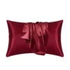 Wholesale Professional Luxury Super Soft Silky Pillow case Solid Color Silk Satin With Envelop Closure Julia M LifeStyles