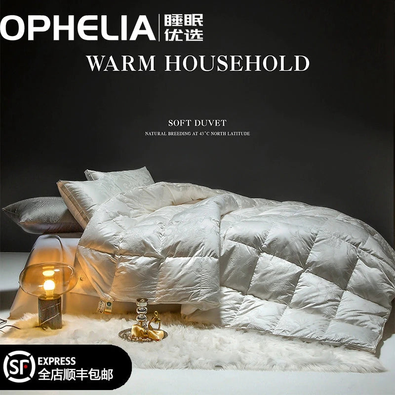 Luxury Italy Import Silk Duvet with 95% White Goose Down for Winter Comfort Julia M Home & Kitchen