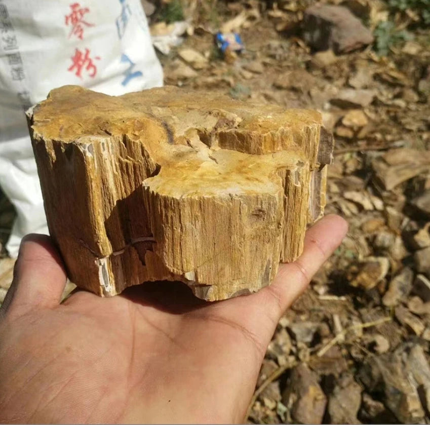 Natural Stone Aquarium Decor - Rockery for Fish Tanks (500g & 1000g) Julia M LifeStyles