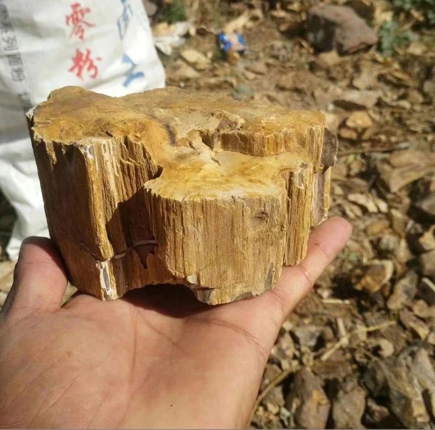 Natural Stone Aquarium Decor - Rockery for Fish Tanks (500g & 1000g) Julia M LifeStyles