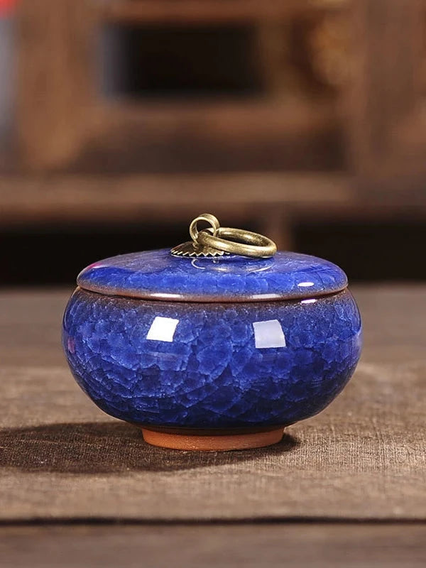 Modern Ceramic Airtight Storage Jar for Tea, Coffee, and Sugar Julia M LifeStyles