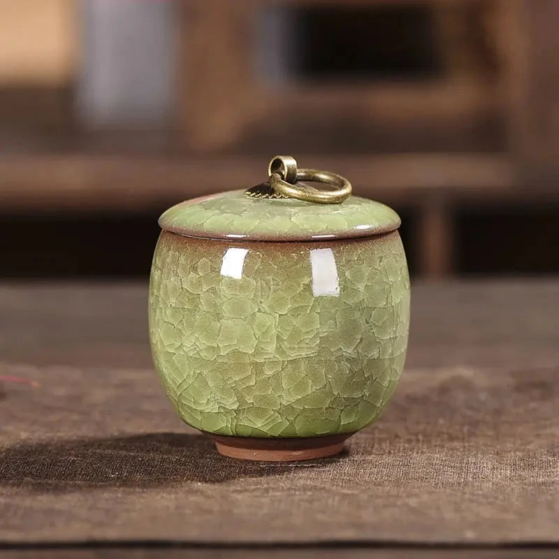 Modern Ceramic Airtight Storage Jar for Tea, Coffee, and Sugar Julia M LifeStyles