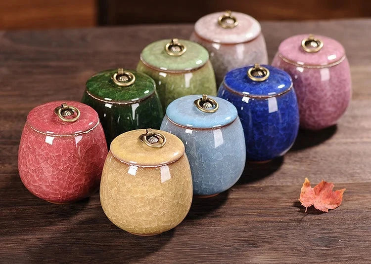 Modern Ceramic Airtight Storage Jar for Tea, Coffee, and Sugar Julia M LifeStyles