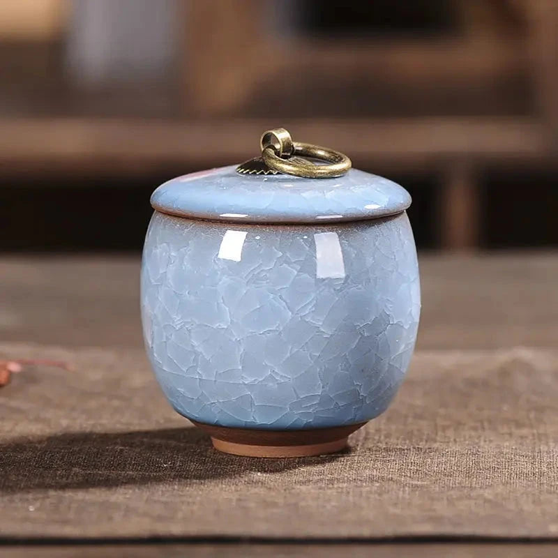 Modern Ceramic Airtight Storage Jar for Tea, Coffee, and Sugar Julia M LifeStyles