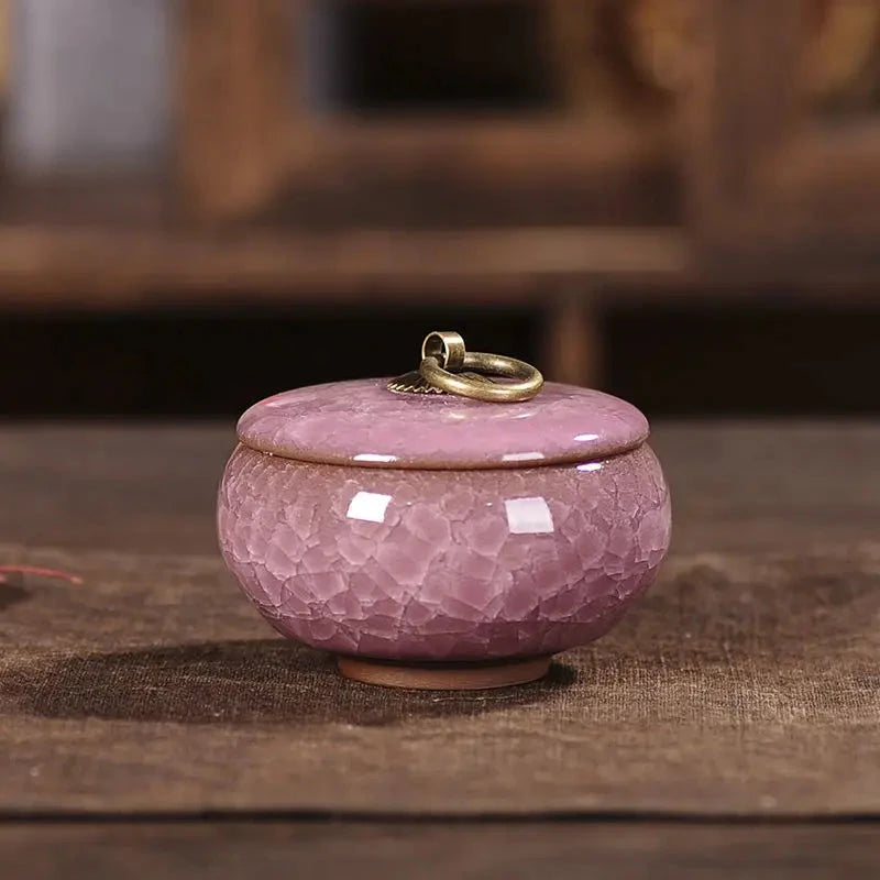 Modern Ceramic Airtight Storage Jar for Tea, Coffee, and Sugar Julia M LifeStyles