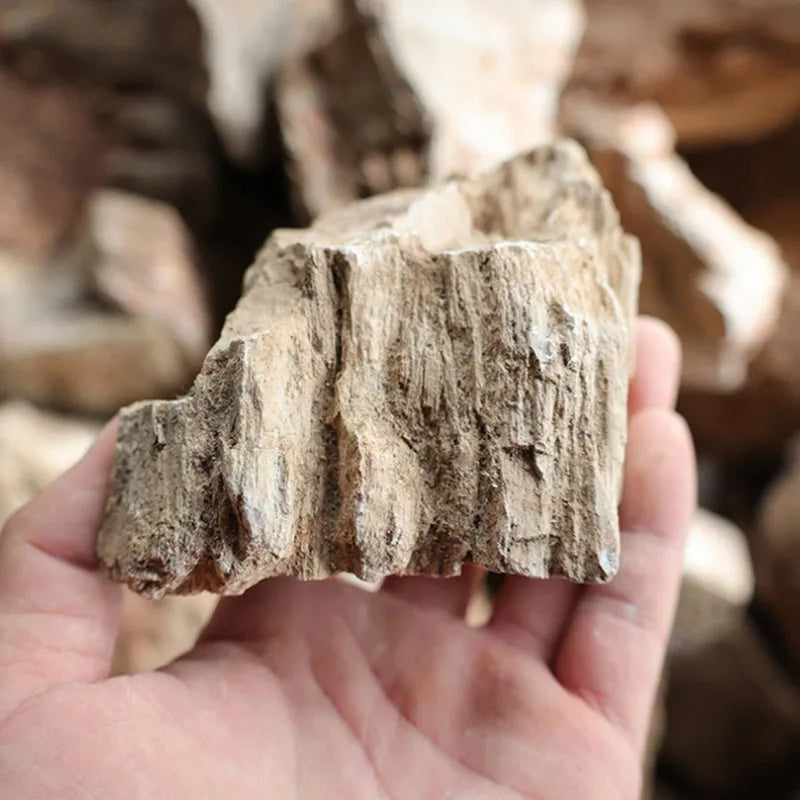 Natural Stone Aquarium Decor - Rockery for Fish Tanks (500g & 1000g) Julia M LifeStyles