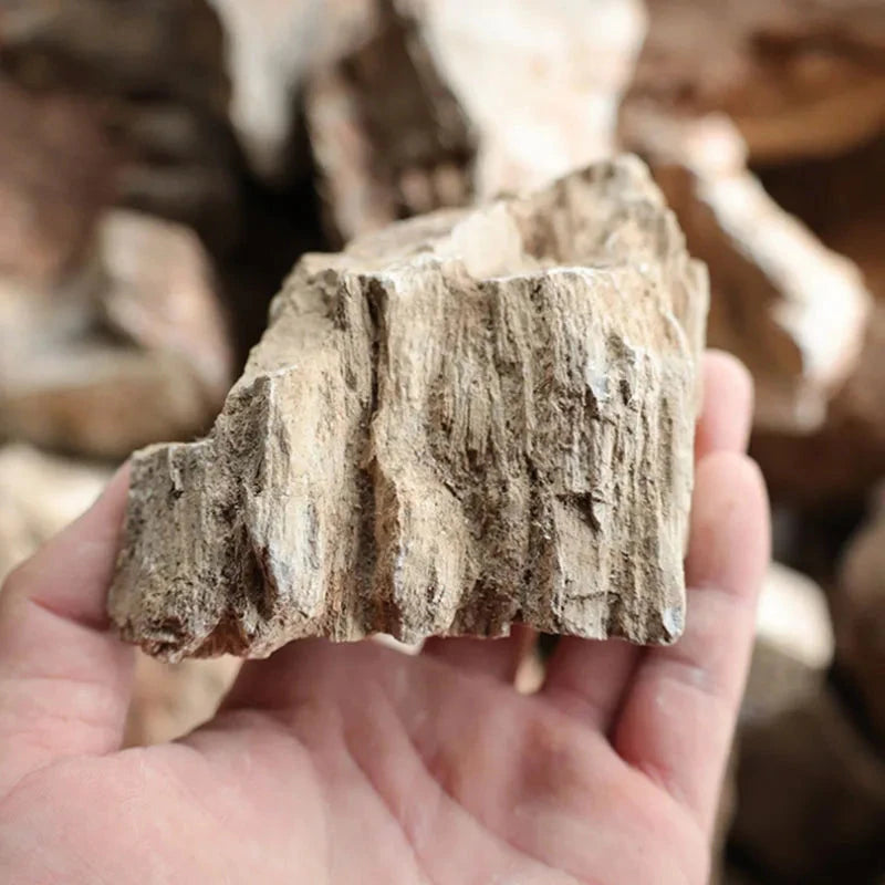 Natural Stone Aquarium Decor - Rockery for Fish Tanks (500g & 1000g) Julia M LifeStyles