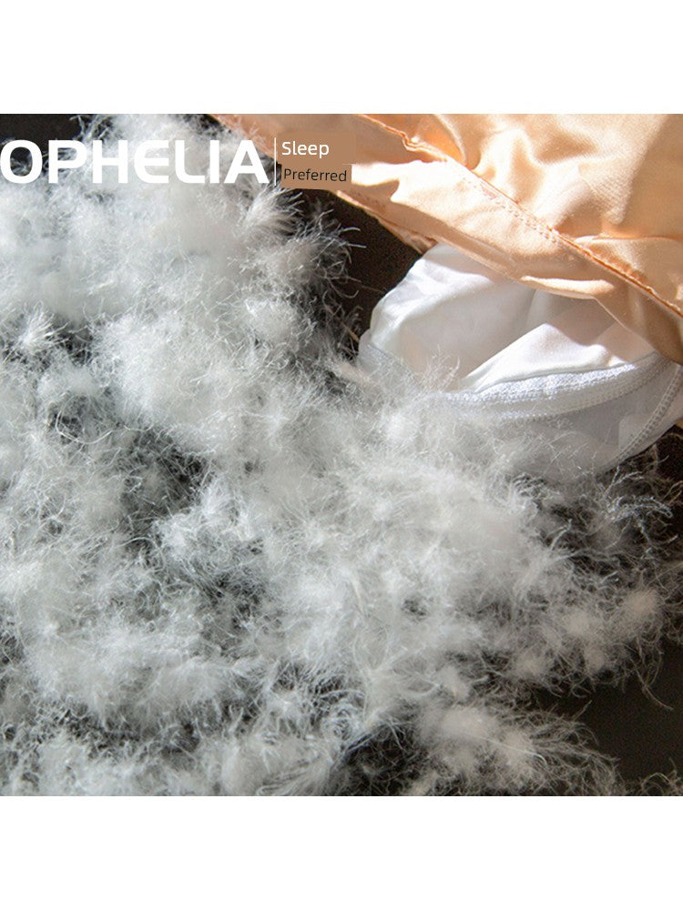 Luxury Italy Import Silk Duvet with 95% White Goose Down for Winter Comfort Julia M Home & Kitchen