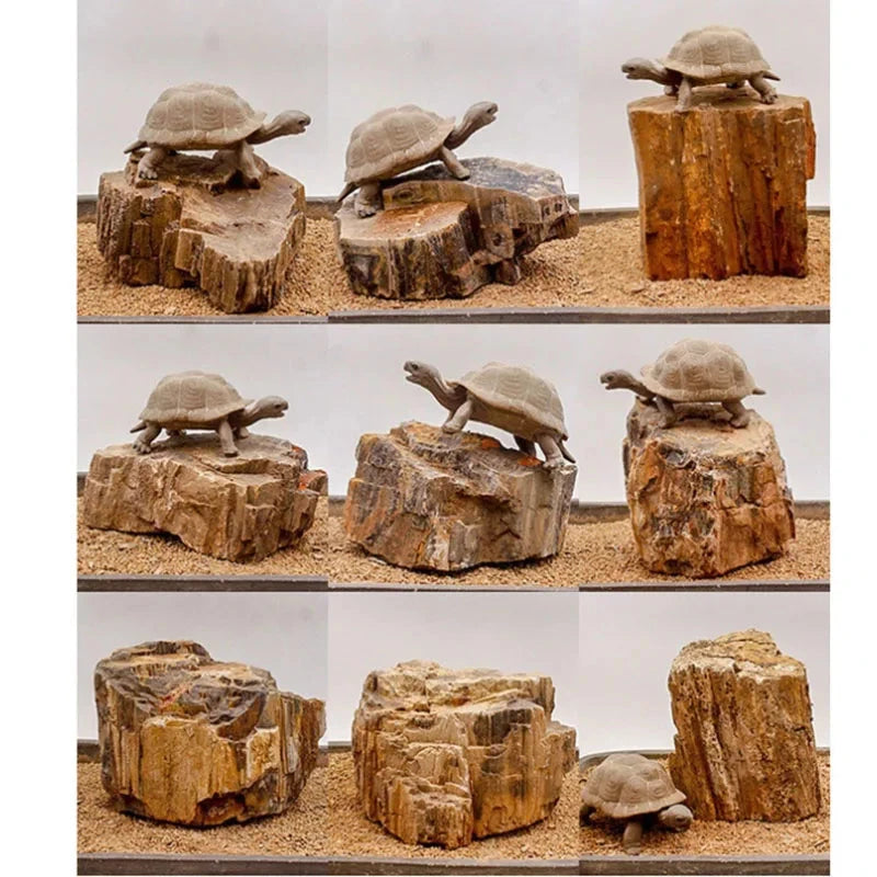 Natural Stone Aquarium Decor - Rockery for Fish Tanks (500g & 1000g) Julia M LifeStyles