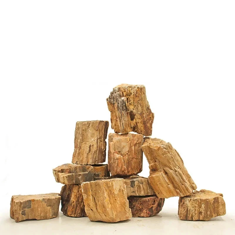 Natural Stone Aquarium Decor - Rockery for Fish Tanks (500g & 1000g) Julia M LifeStyles