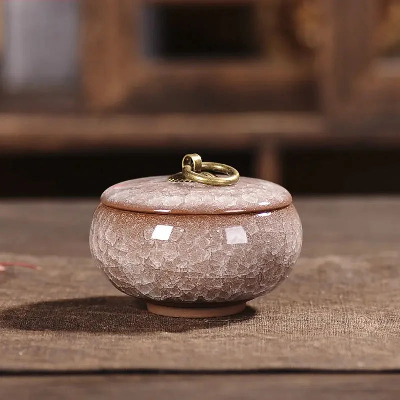 Modern Ceramic Airtight Storage Jar for Tea, Coffee, and Sugar Julia M LifeStyles