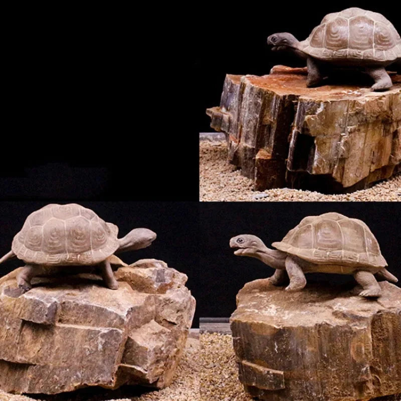 Natural Stone Aquarium Decor - Rockery for Fish Tanks (500g & 1000g) Julia M LifeStyles