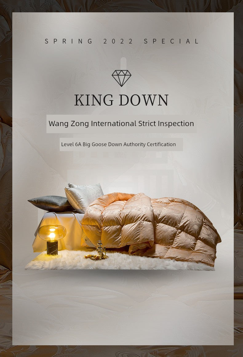 Italy Import Silk Duvet - 95% Goose Down Winter Quilt Julia M LifeStyles