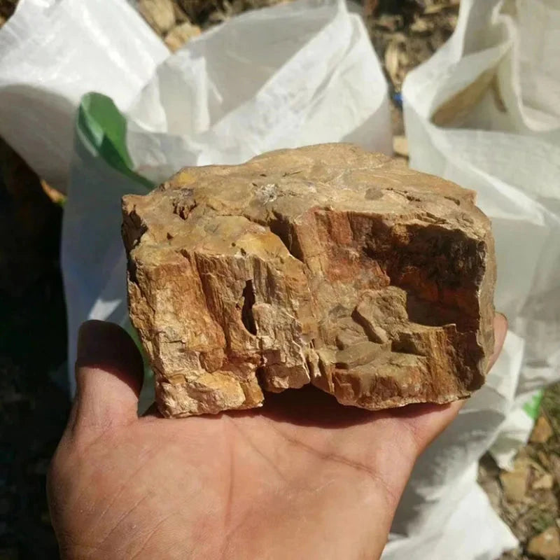 Natural Stone Aquarium Decor - Rockery for Fish Tanks (500g & 1000g) Julia M LifeStyles