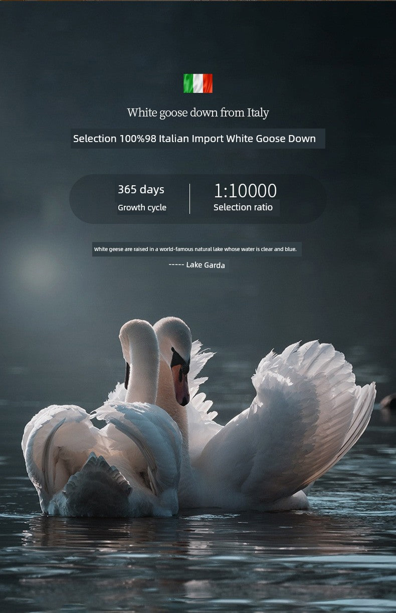 Luxury Italy Import Silk Duvet with 95% White Goose Down for Winter Comfort Julia M Home & Kitchen