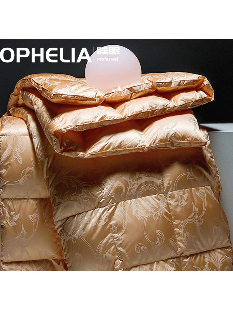 Luxury Italy Import Silk Duvet with 95% White Goose Down for Winter Comfort Julia M Home & Kitchen