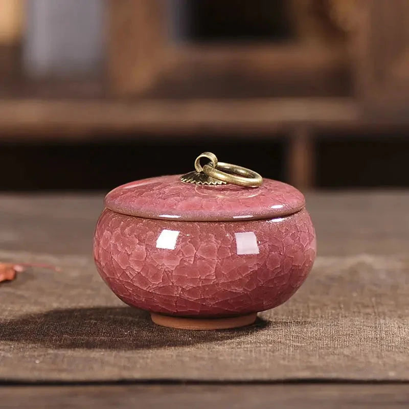 Modern Ceramic Airtight Storage Jar for Tea, Coffee, and Sugar Julia M LifeStyles