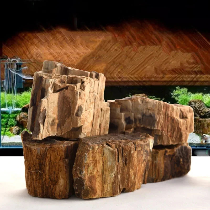 Natural Stone Aquarium Decor - Rockery for Fish Tanks (500g & 1000g) Julia M LifeStyles