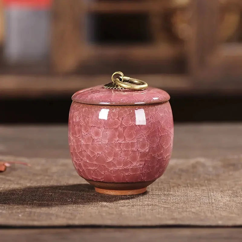 Modern Ceramic Airtight Storage Jar for Tea, Coffee, and Sugar Julia M LifeStyles