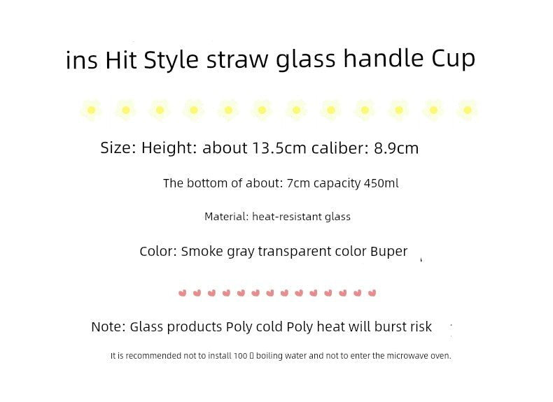 Couple Ins Style Glass Mug Household Straws - Julia M LifeStyles