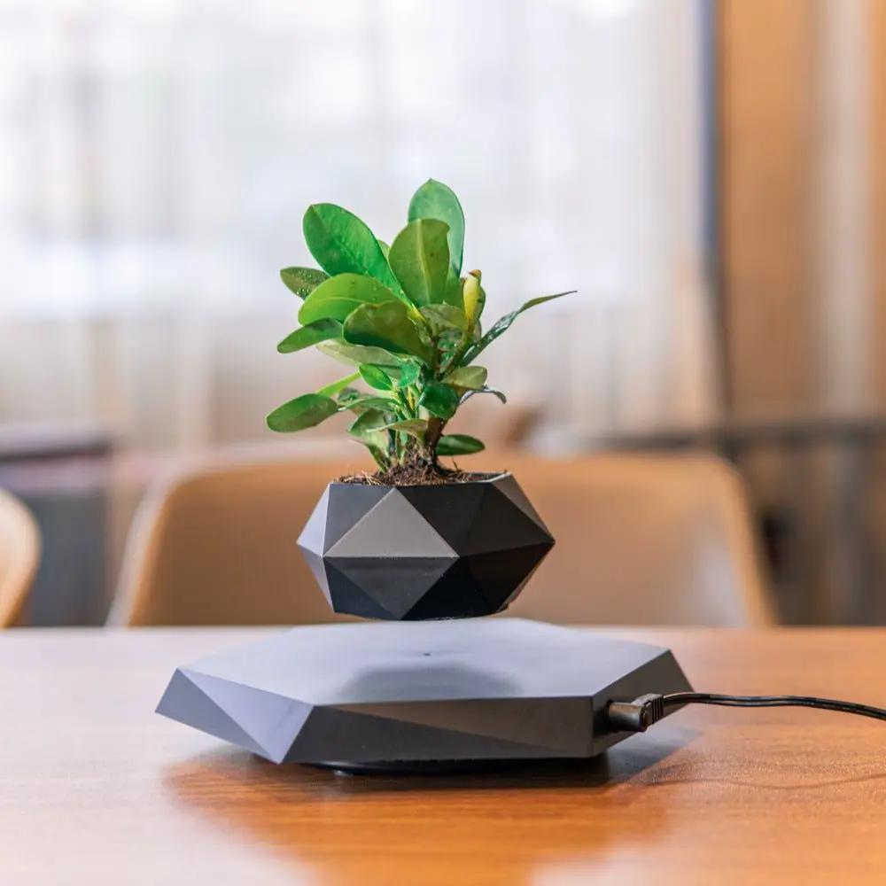 Floating Magnetic Levitating Flower Pot Bonsai Air Plant Pot Planter Potted For Home Office Desk Decor Creative Gift - Julia M LifeStyles