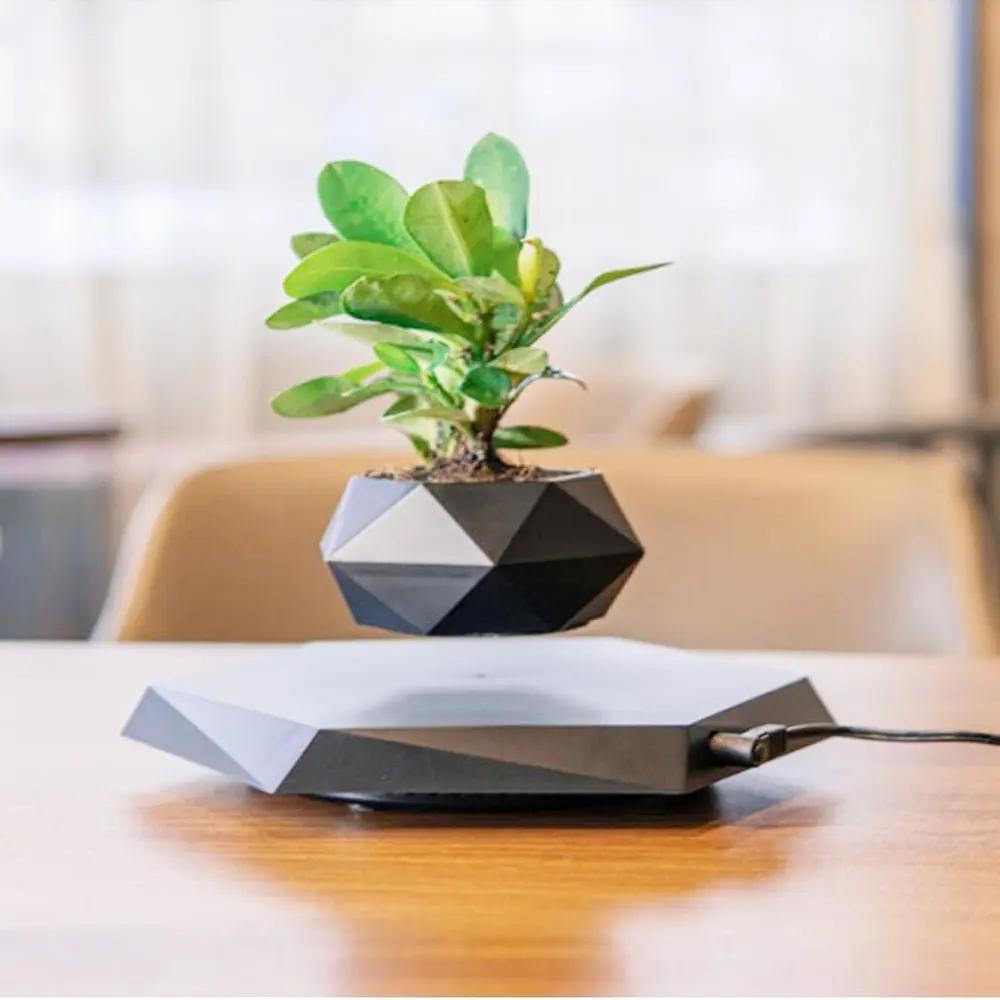 Floating Magnetic Levitating Flower Pot Bonsai Air Plant Pot Planter Potted For Home Office Desk Decor Creative Gift - Julia M LifeStyles
