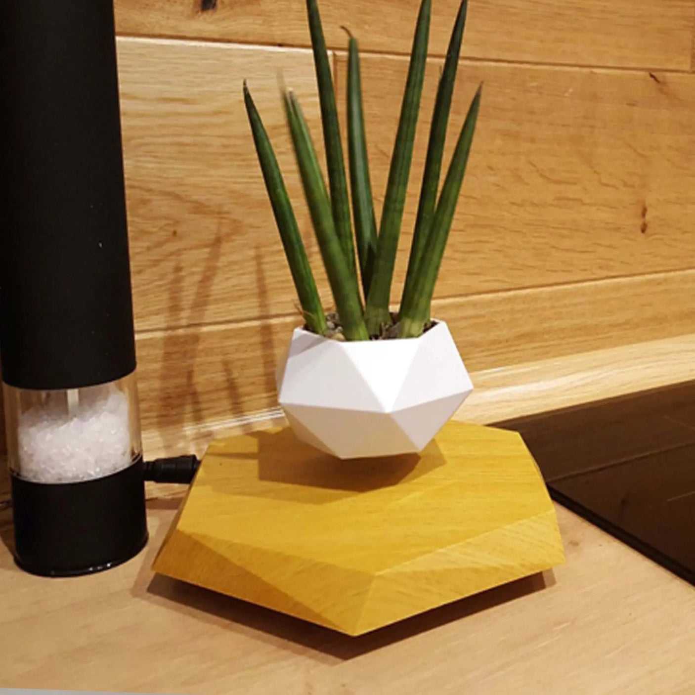 Floating Magnetic Levitating Flower Pot Bonsai Air Plant Pot Planter Potted For Home Office Desk Decor Creative Gift - Julia M LifeStyles