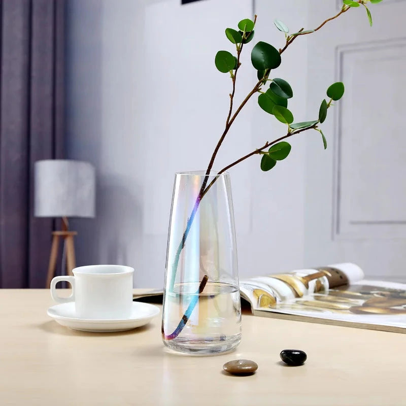 Transparent Glass Vase Julia M LifeStyles
