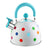 2.5L Stainless Steel Whistling Teapot - Dot Colour Design - Julia M LifeStyles