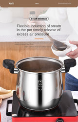 304 Stainless Steel Multi-Functional Non-Stick Pressure Cooker Pot with Lid Julia M LifeStyles