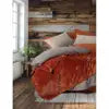 Cinnamon Cotton Box Oyster Double Duvet Cover Set