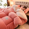 Household Milk Double-sided Velvet Lamb Wool Winter Blanket Warm Double-sided Velvet Core - Julia M LifeStyles