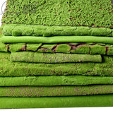 Vertical Green Artificial Moss Wall Panels Glass Material for Garden Decoration and Interior Design